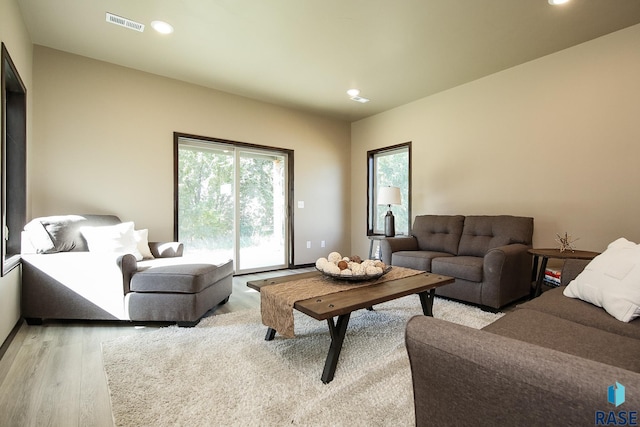 living room with light wood-type flooring