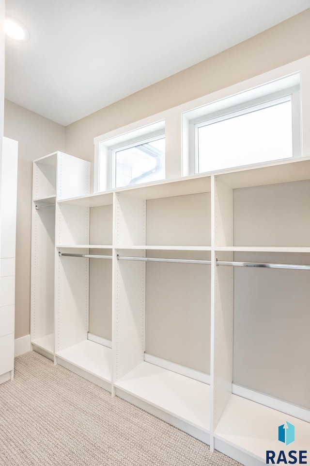 spacious closet with carpet flooring