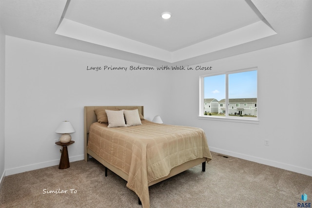 carpeted bedroom featuring a tray ceiling