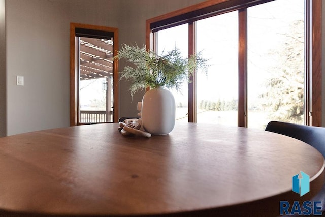 dining space featuring a healthy amount of sunlight