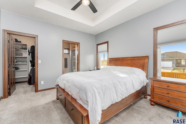 carpeted bedroom featuring ceiling fan, a walk in closet, a raised ceiling, and a closet