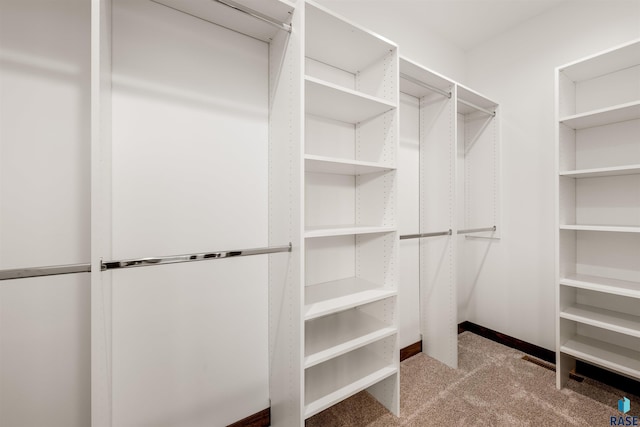 walk in closet with light colored carpet