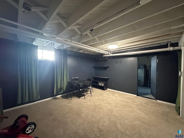 basement featuring carpet floors