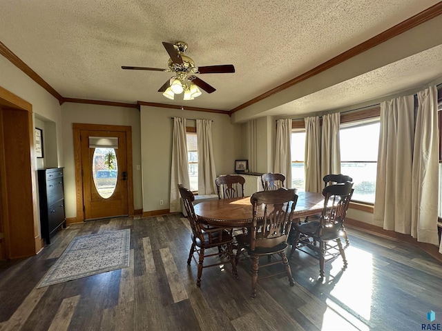 dining space featuring crown molding, ceiling fan, dark hardwood / wood-style flooring, and a textured ceiling