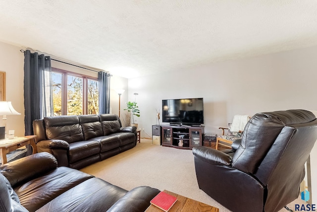 carpeted living room featuring a textured ceiling