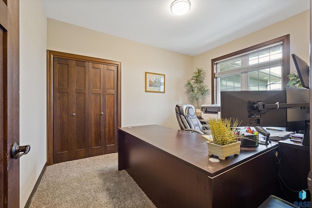 view of carpeted home office