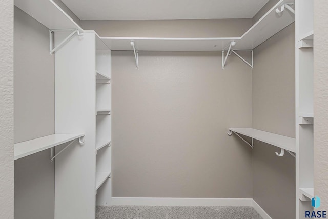 spacious closet with carpet floors