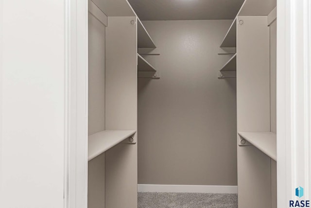 spacious closet featuring light colored carpet