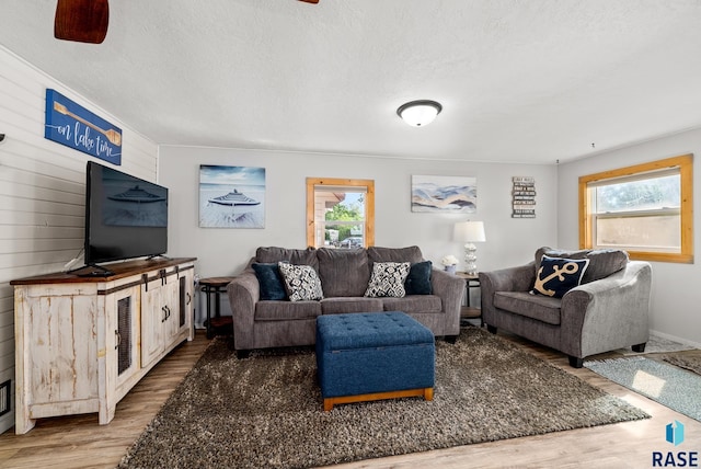 living room featuring wood-type flooring, plenty of natural light, and a textured ceiling