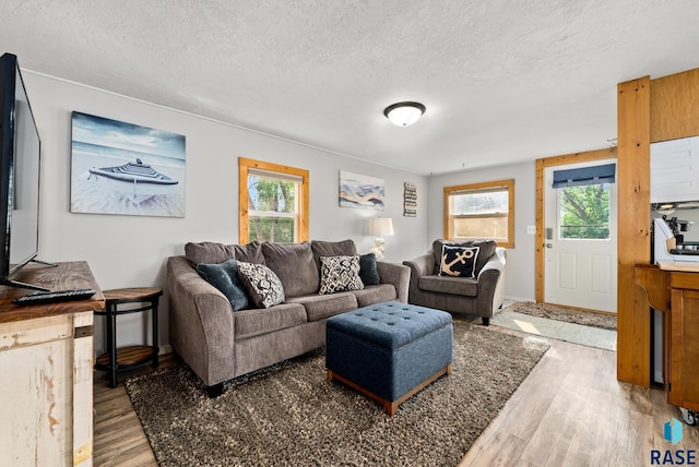 living room featuring a healthy amount of sunlight, hardwood / wood-style floors, and a textured ceiling