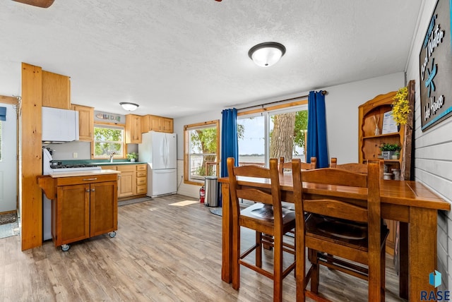 dining area with sink, a textured ceiling, and light wood-type flooring