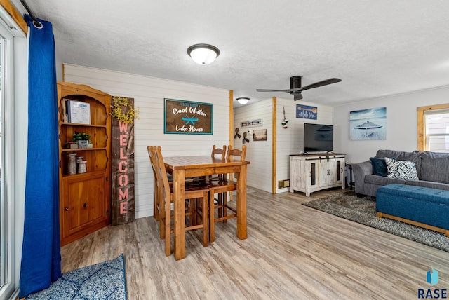 dining room featuring ceiling fan, light hardwood / wood-style flooring, and a textured ceiling