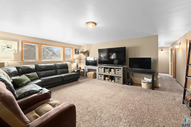 living room with a textured ceiling and carpet