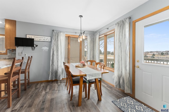 dining space with dark hardwood / wood-style flooring