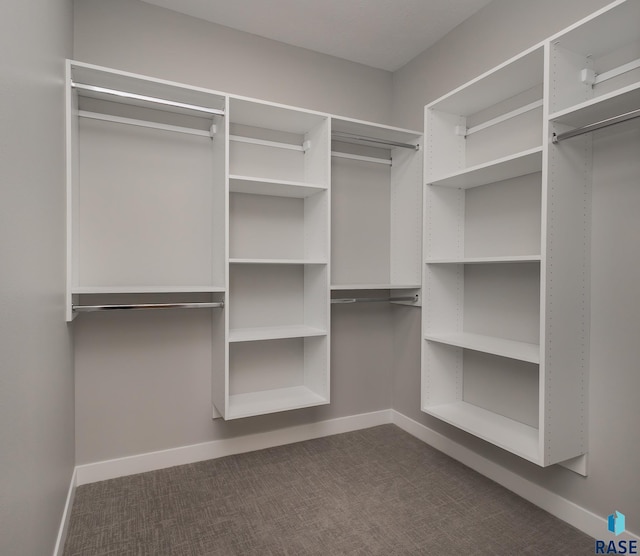 spacious closet with dark carpet