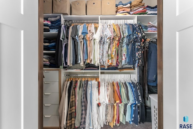 view of closet