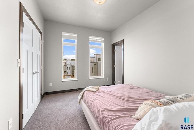 bedroom with carpet