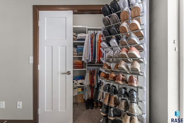 view of closet