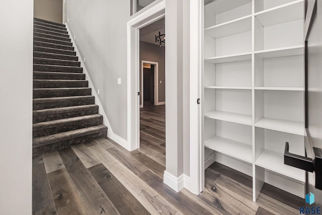 staircase featuring hardwood / wood-style flooring