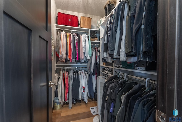 spacious closet featuring hardwood / wood-style flooring