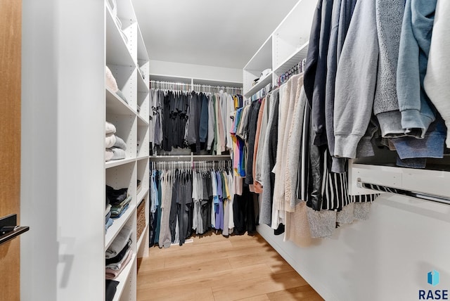 spacious closet with hardwood / wood-style floors