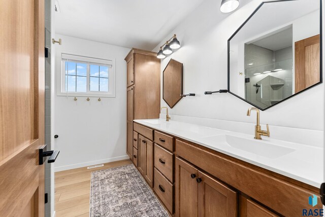 bathroom with vanity and wood-type flooring