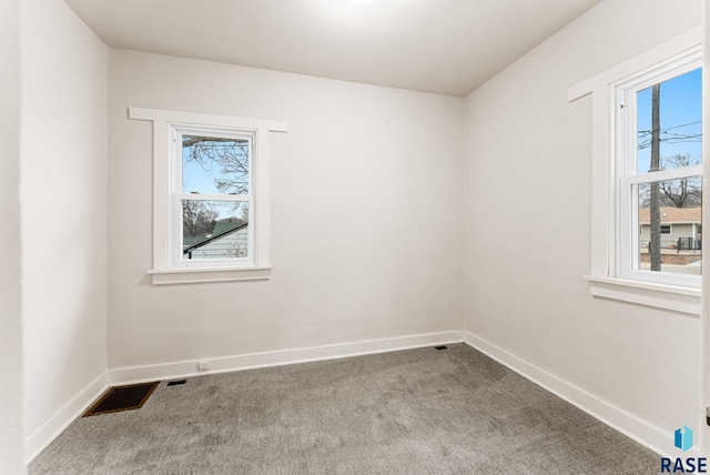 spare room with carpet and a healthy amount of sunlight