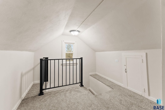 additional living space featuring lofted ceiling, light colored carpet, and a textured ceiling