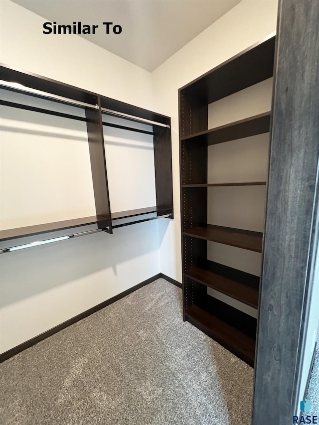 walk in closet with carpet flooring