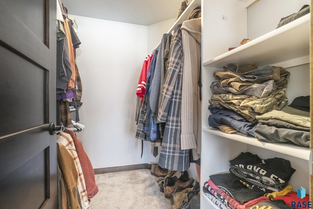 spacious closet with carpet flooring