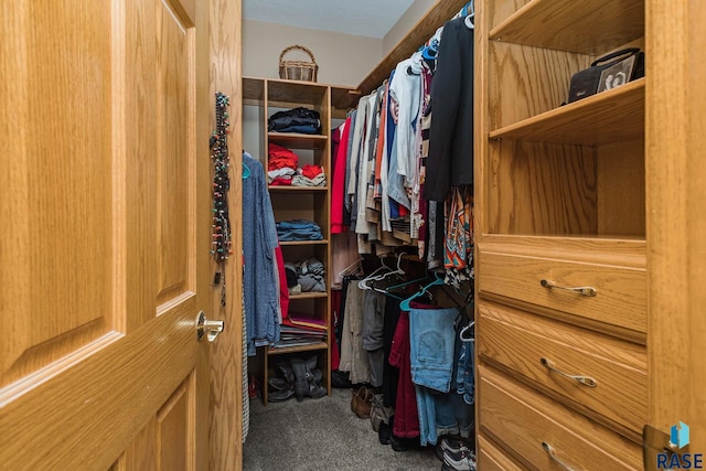 spacious closet with carpet flooring