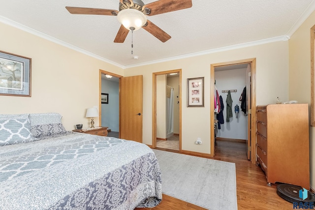 bedroom featuring crown molding, a walk in closet, light hardwood / wood-style flooring, a textured ceiling, and ceiling fan