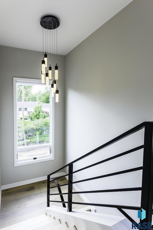 stairway with hardwood / wood-style floors