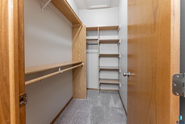 spacious closet with light colored carpet