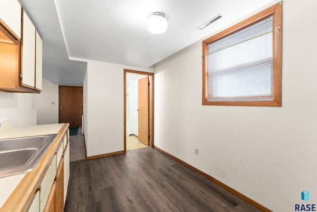 kitchen featuring sink and dark hardwood / wood-style flooring