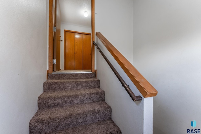 stairway with carpet flooring