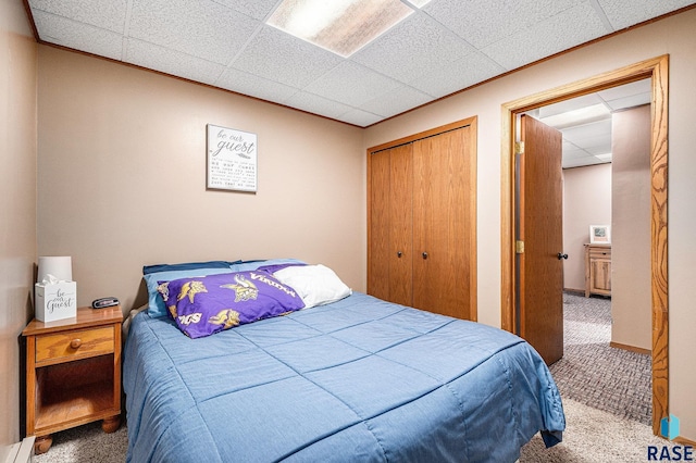 carpeted bedroom featuring a paneled ceiling and a closet