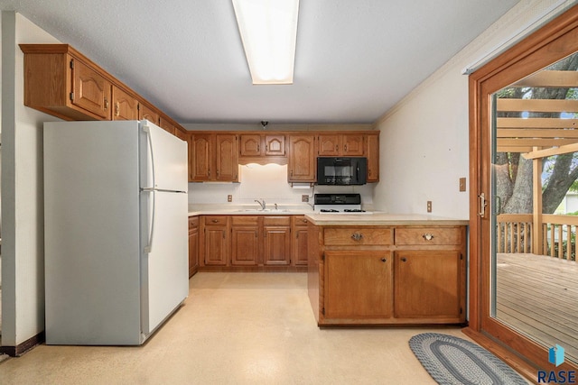 kitchen featuring stove, sink, and white fridge