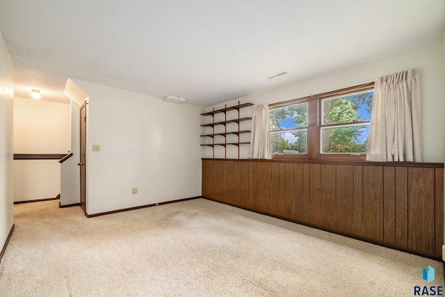 empty room featuring wooden walls and light carpet