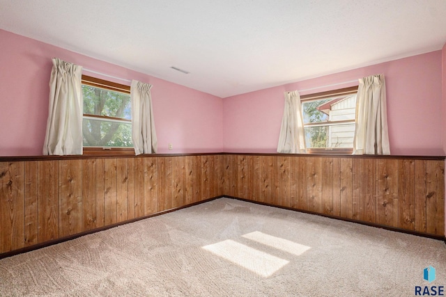 unfurnished room featuring plenty of natural light, carpet flooring, and wood walls