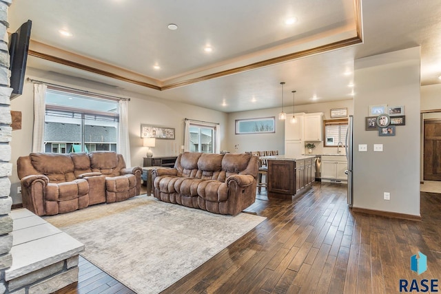 living room featuring dark wood-type flooring and a raised ceiling