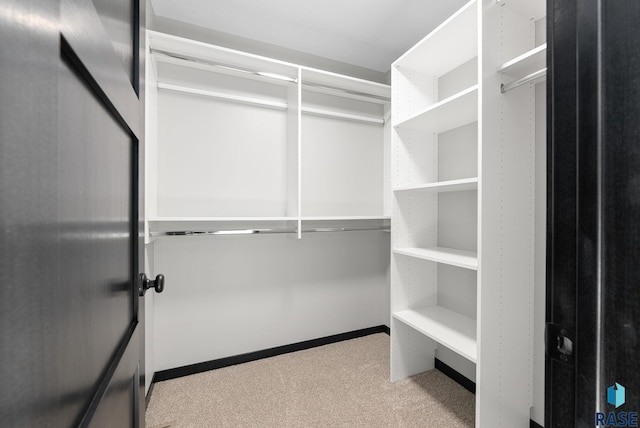 spacious closet with light colored carpet