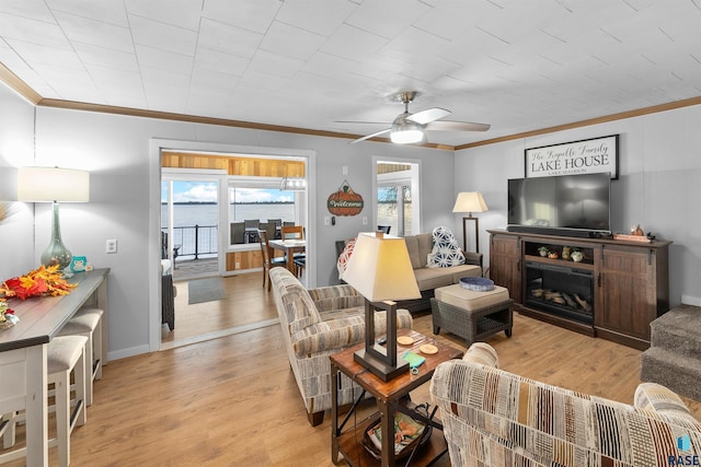 living room featuring crown molding, ceiling fan, and light wood-type flooring