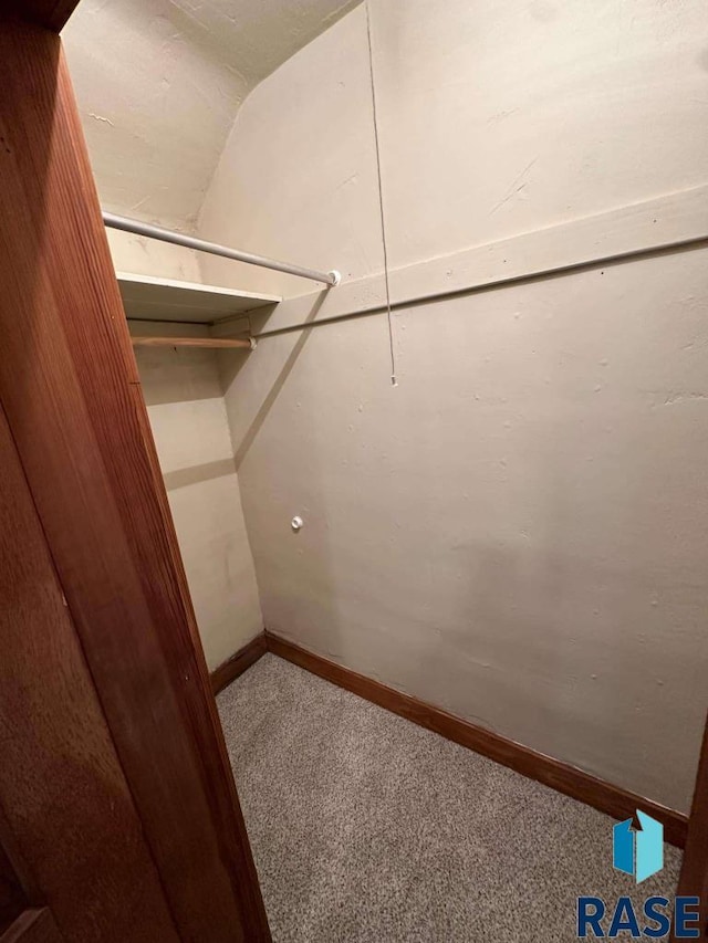 spacious closet featuring carpet