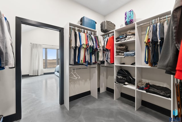 view of spacious closet