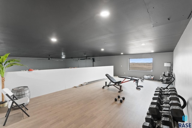 workout room featuring light hardwood / wood-style floors