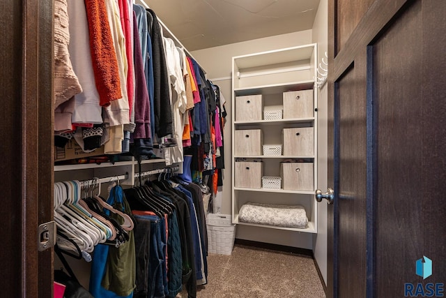 walk in closet with carpet floors