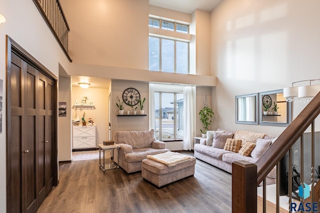 living room featuring hardwood / wood-style floors and a high ceiling