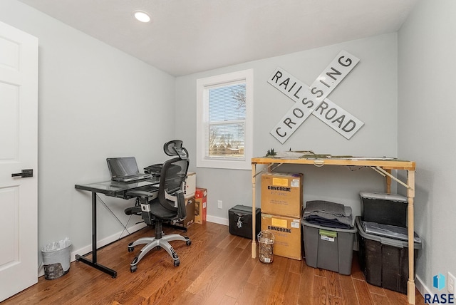 office featuring wood-type flooring