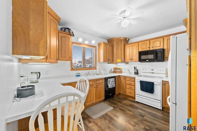 kitchen with ceiling fan, dark hardwood / wood-style flooring, sink, and black appliances